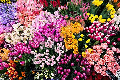 动作冒险游戏《蛮之纪》4月4日发售 试玩Demo上线